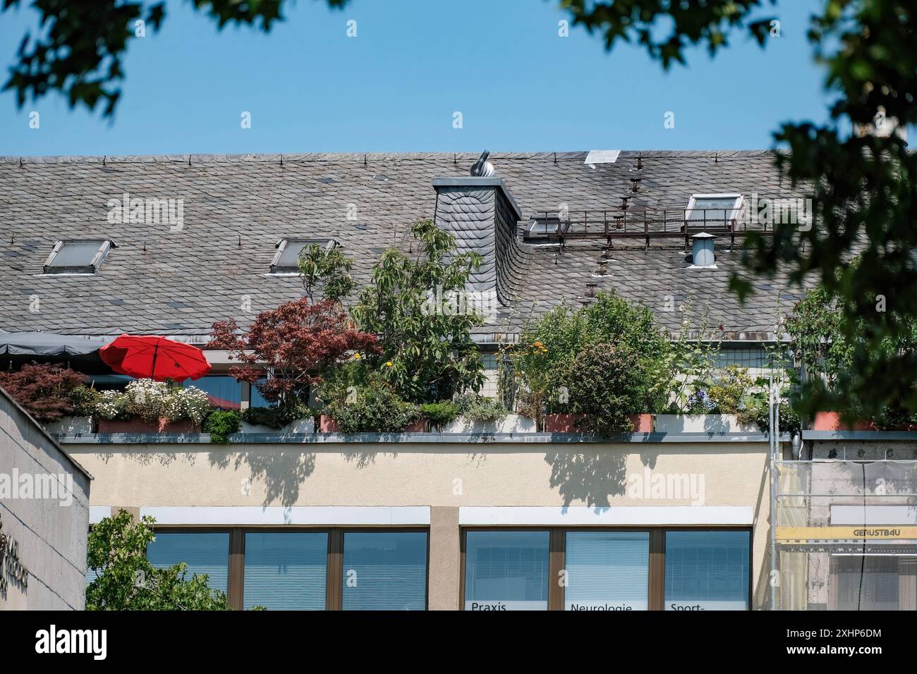 Düsseldorf 15.07.2024 Wohnungen Wohnungsnot Mietswohnung Mieten Mietpreis sozialer Wohnungsbau Immobilien Wohnraummangel Wohnung Baustelle Neubau Mehrfamilienhaus Mietshaus Miete Mietspiegel Mietpreisspiegel Immobilie Wohnungsmangel Baustau Wohnimmobilie Wohnungsimmobilien Mietpreise Altbau Leerstand Baumaterial Baustoffe Leiter Aussenleiter Bauleiter Ballungsgebiet bezahlbarer Wohnraum CO2-Preis CO2 Bundes-Klimaschutzgesetz Heizen Heizung Klimapaket Mieter Vermieter Mietpreisbremse Klimasteuer Energiewende Büro Büros Homeoffice Home-Office Konjunkturpaket Grundsteuerreform Grundsteuererklärun Stockfoto