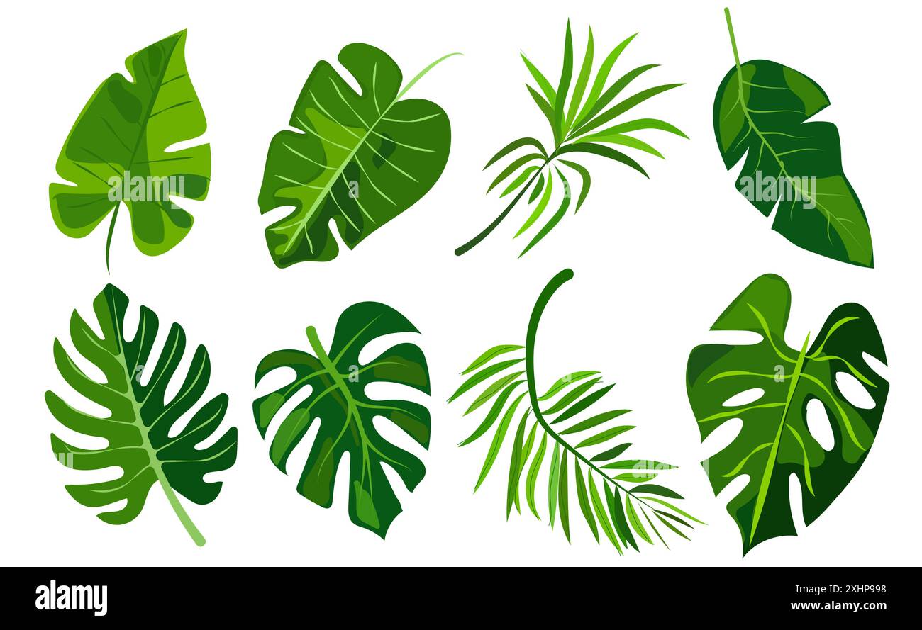 Es gibt acht verschiedene Arten von grünen Blättern, jedes mit unterschiedlichen Formen und Venenmustern. Das vielfältige Laub zeigt verschiedene botanische Designs Stock Vektor