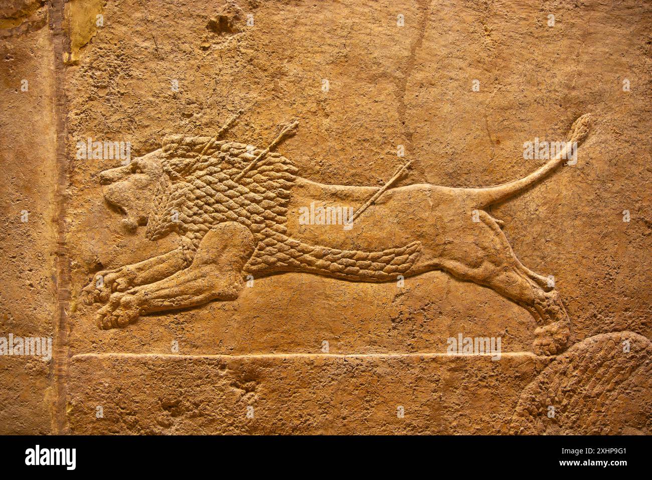 Ruinierender Löwe, der von Pfeilen getroffen wird. Löwenjagd von Ashurbanipal. British Museum, London, England. Stockfoto