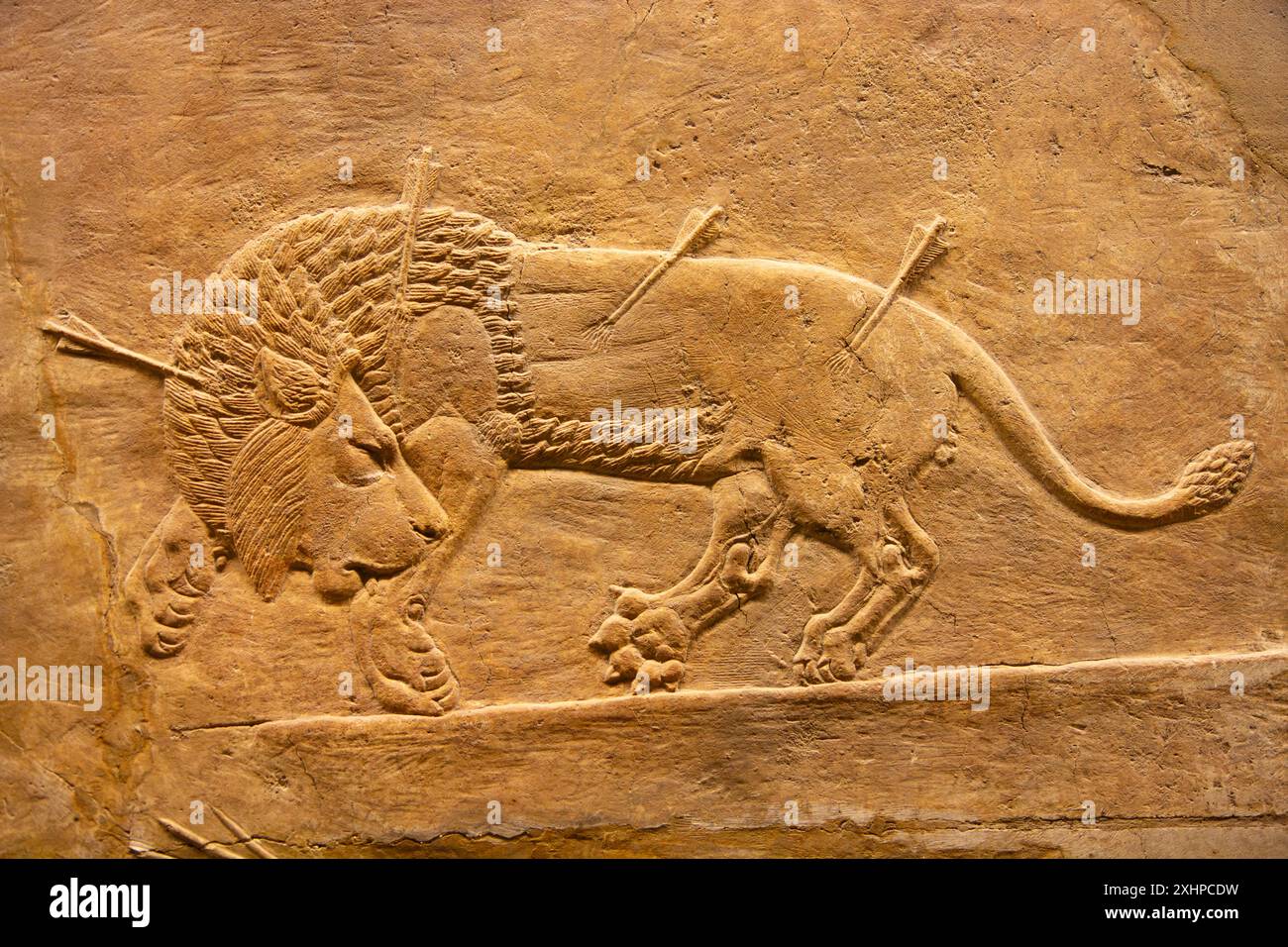 Löwenjagd von Ashurbanipal. British Museum, London, England. Stockfoto