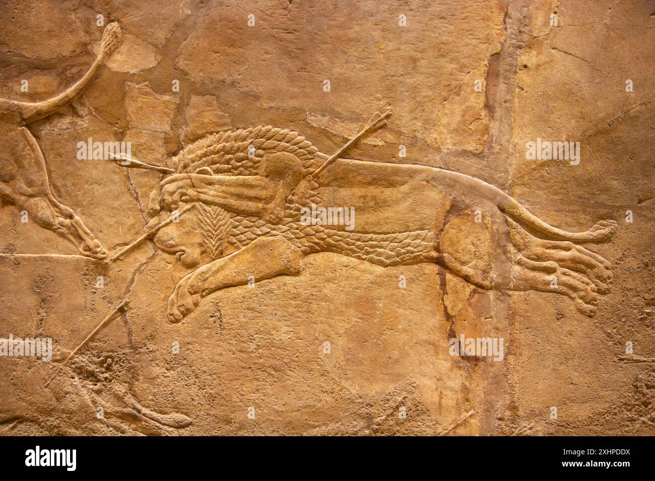 Löwenjagd von Ashurbanipal. British Museum, London, England. Stockfoto