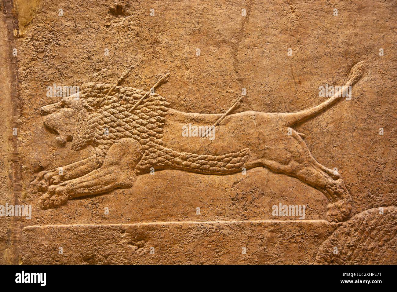 Löwenjagd von Ashurbanipal. British Museum, London, England. Stockfoto