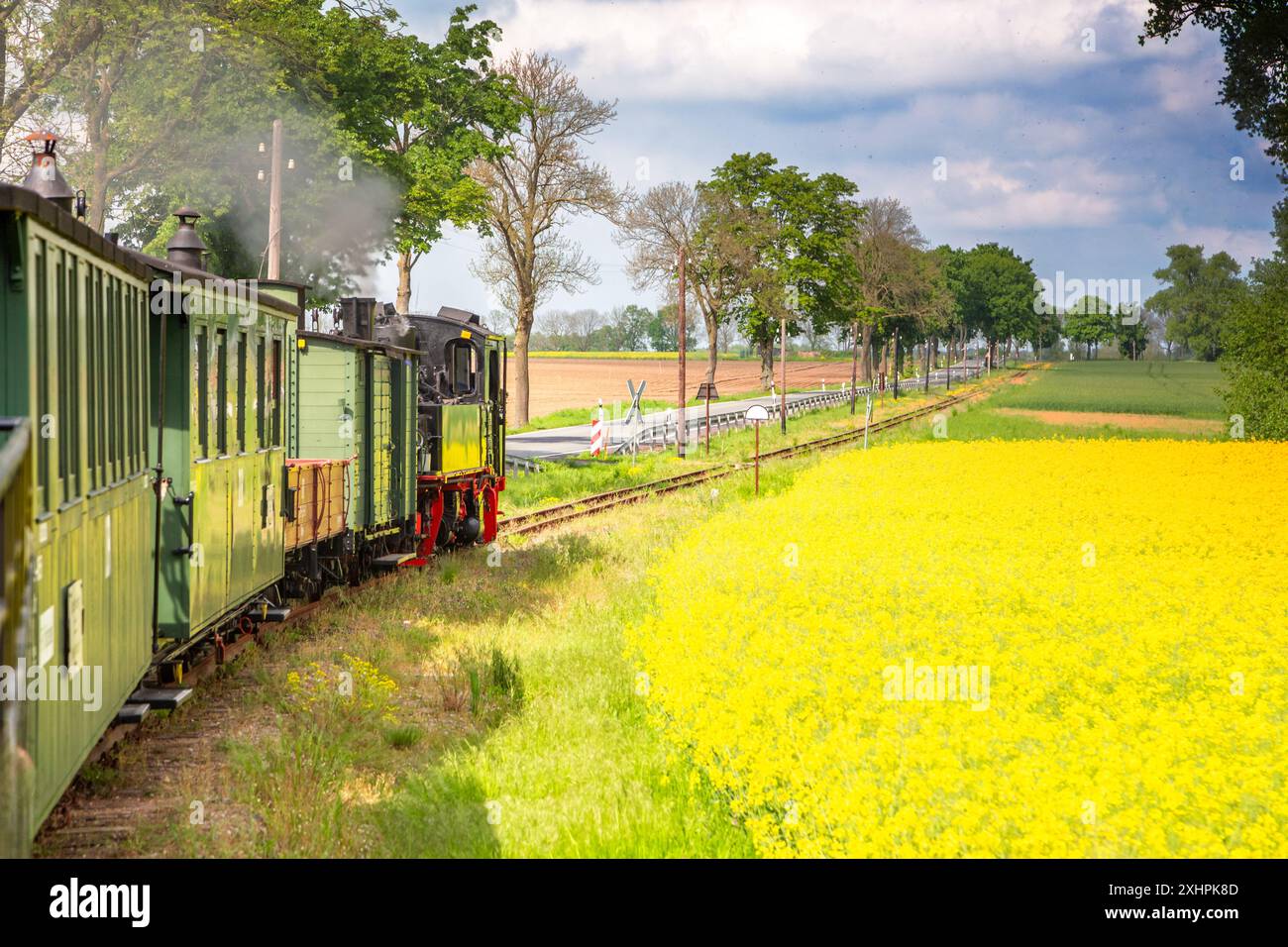 Schmalspurbahn, Prignitz, Brandenburg, Deutschland Stockfoto