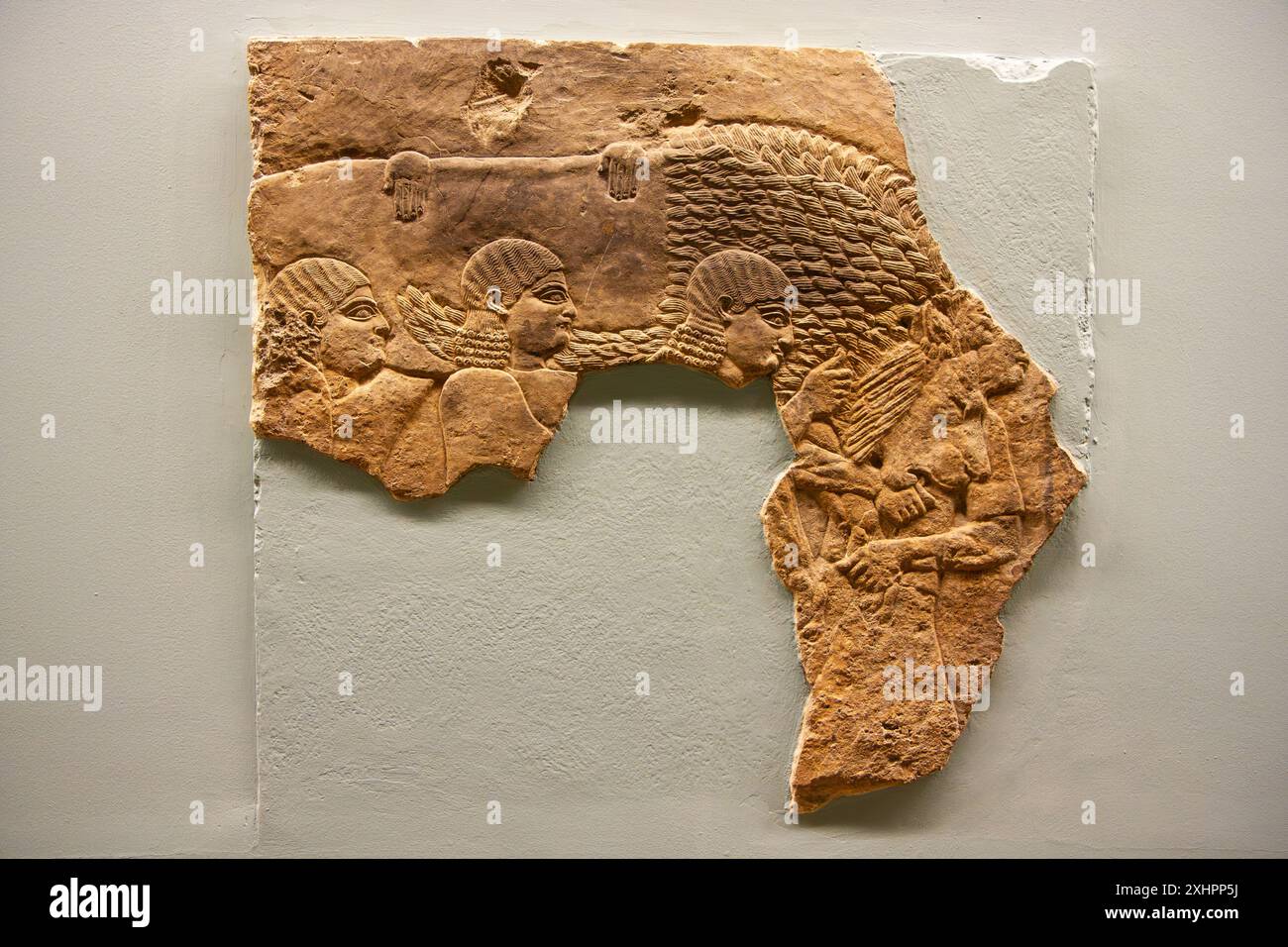 Tote Löwen werden weggetragen. Löwenjagd von Ashurbanipal. British Museum, London, England. Stockfoto