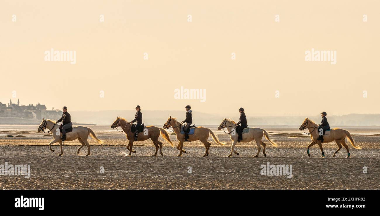 Frankreich, Somme, Le Crotoy, Training der Pferde (Quarter Horse Race) in der Somme Bucht, mit freundlicher Genehmigung der Mitglieder der Hippicardie Equestr Stockfoto