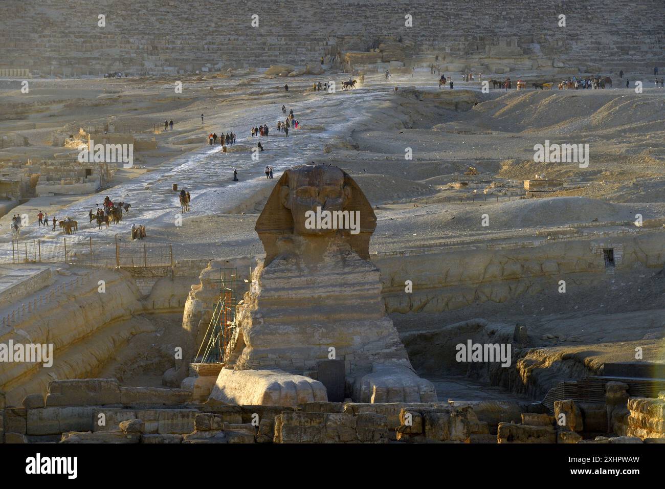 Ägypten, Kairo, Gizeh, von der UNESCO als Weltkulturerbe gelistet, die Sphinx Stockfoto