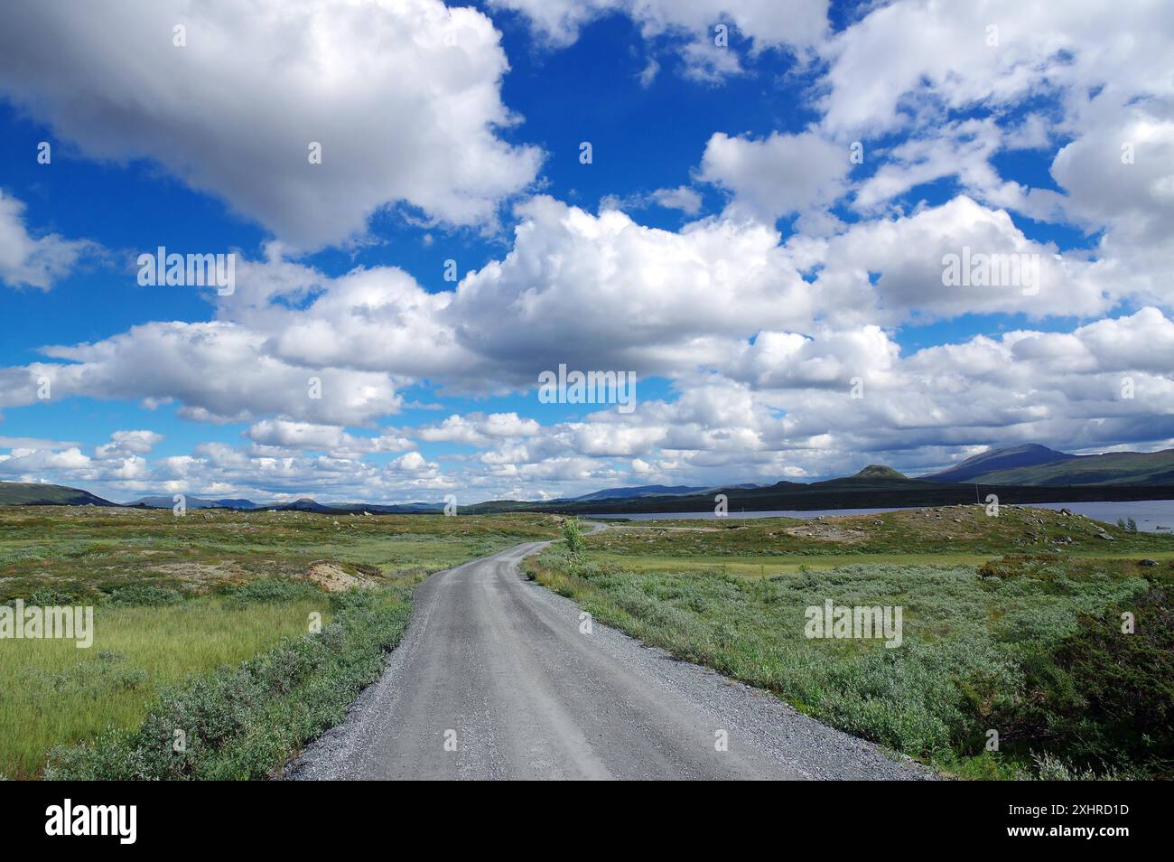 Landschaft mit einer Straße, die durch die Fjells unter einem hellblauen Himmel mit vielen Wolken führt, Jotunheimvegen, Norwegen Stockfoto