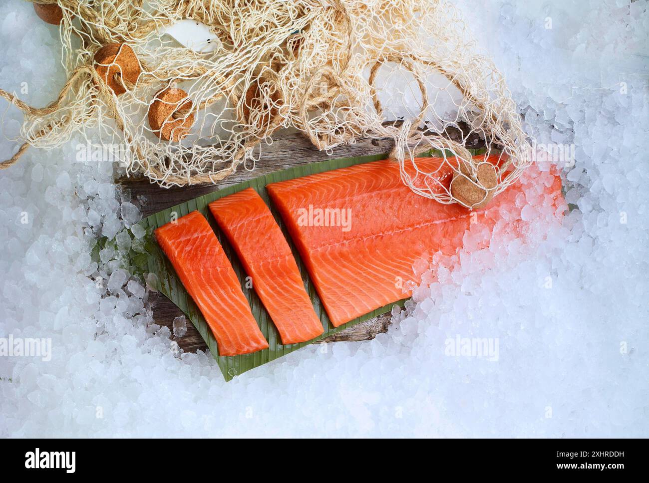 Lachs (Salmo) liegt auf einem Bananenblatt und viel Eis, Fischernetz als Dekoration, Studio-Aufnahme Stockfoto