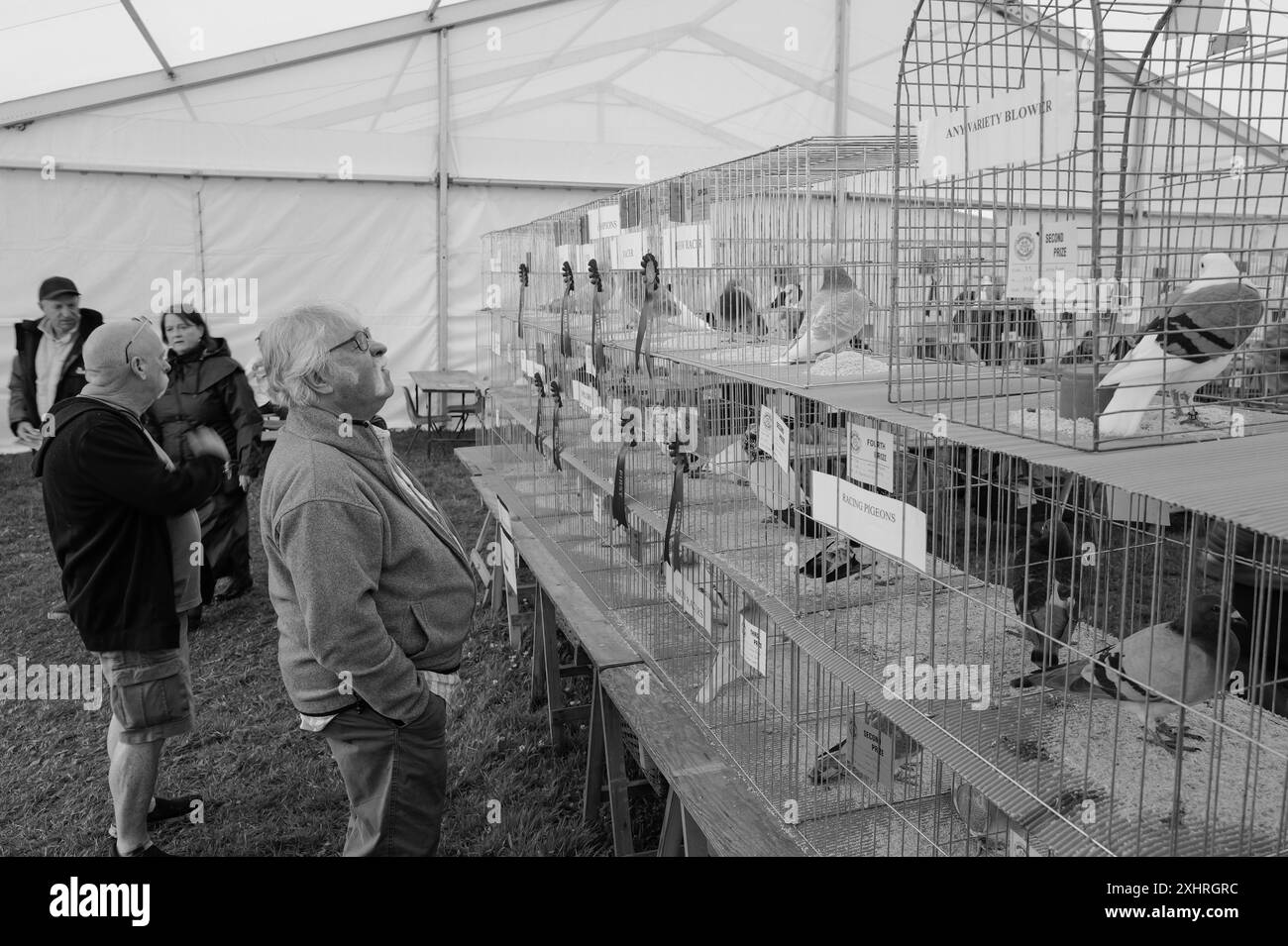 Stithians Show Cornwall Stockfoto