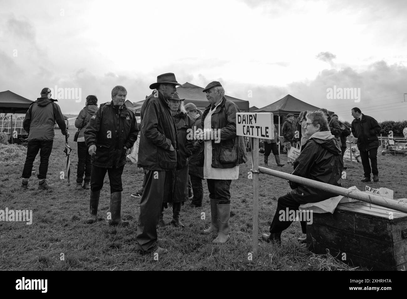 Stithians Show Cornwall Stockfoto