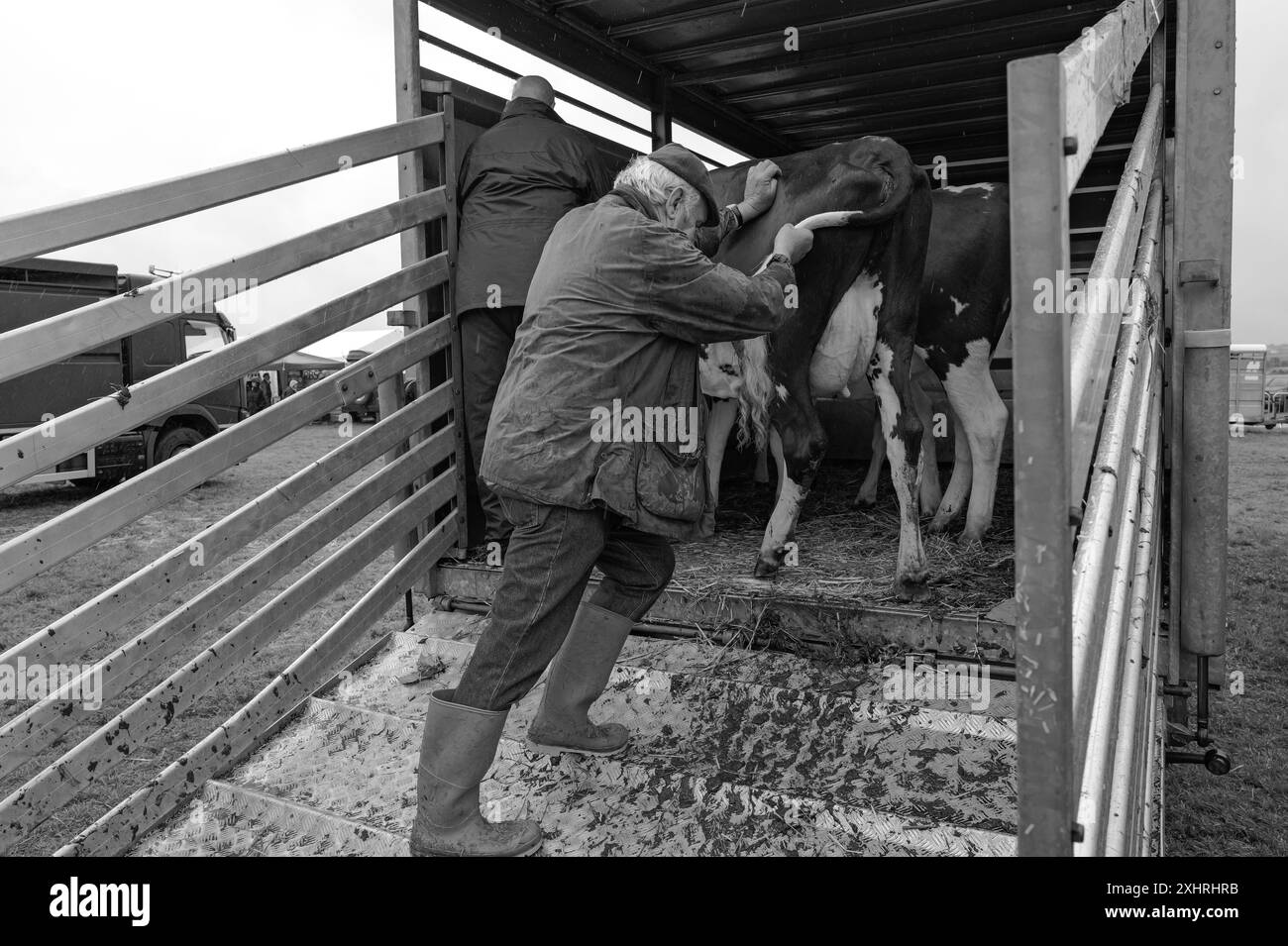 Stithians Show Cornwall Stockfoto