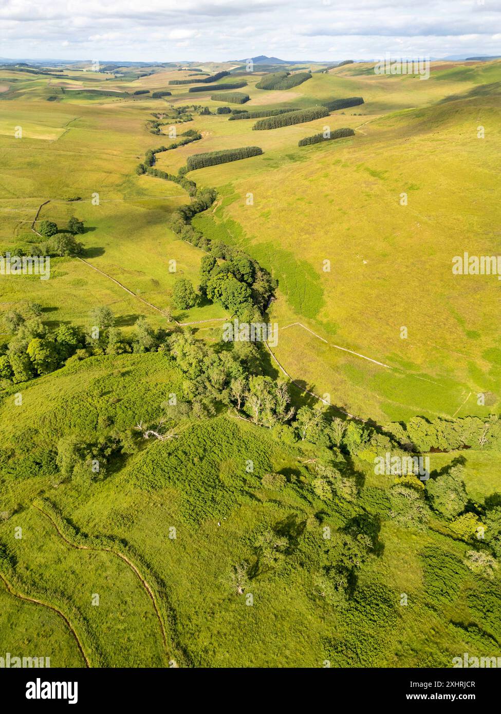 Drohnenblick auf das Allan Water Valley in der Nähe der Skelfhill Farm, Hawick Scottish Borders. UK Stockfoto