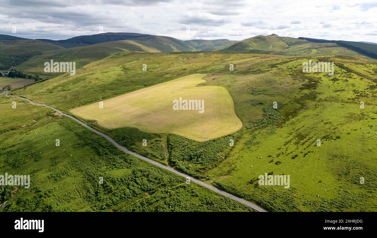 Drohnenansicht von Skelfhill und Priesthaugh Hill Farmen südlich von Hawick, Scottish Borders, Schottland. Stockfoto