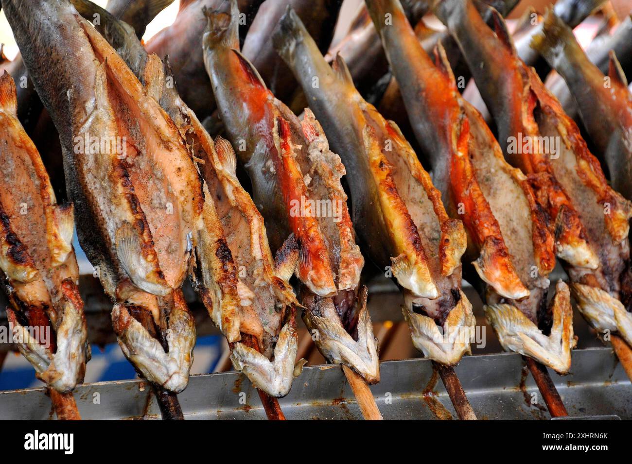 Steckerlfisch, Fisch, Süßwasserfisch auf einem Stock über Holzkohle gegrillt, historische wies'n, Oide Wiesn, Oktoberfest, München, Oberbayern, Bayern Stockfoto