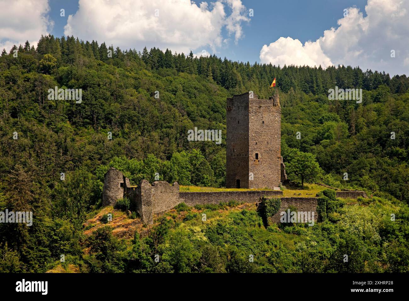 Die Ruine der Erzdiözese-Trierischen Oberburg Manderscheid, Südeifel, Eifel, Rheinland-Pfalz, Deutschland Stockfoto