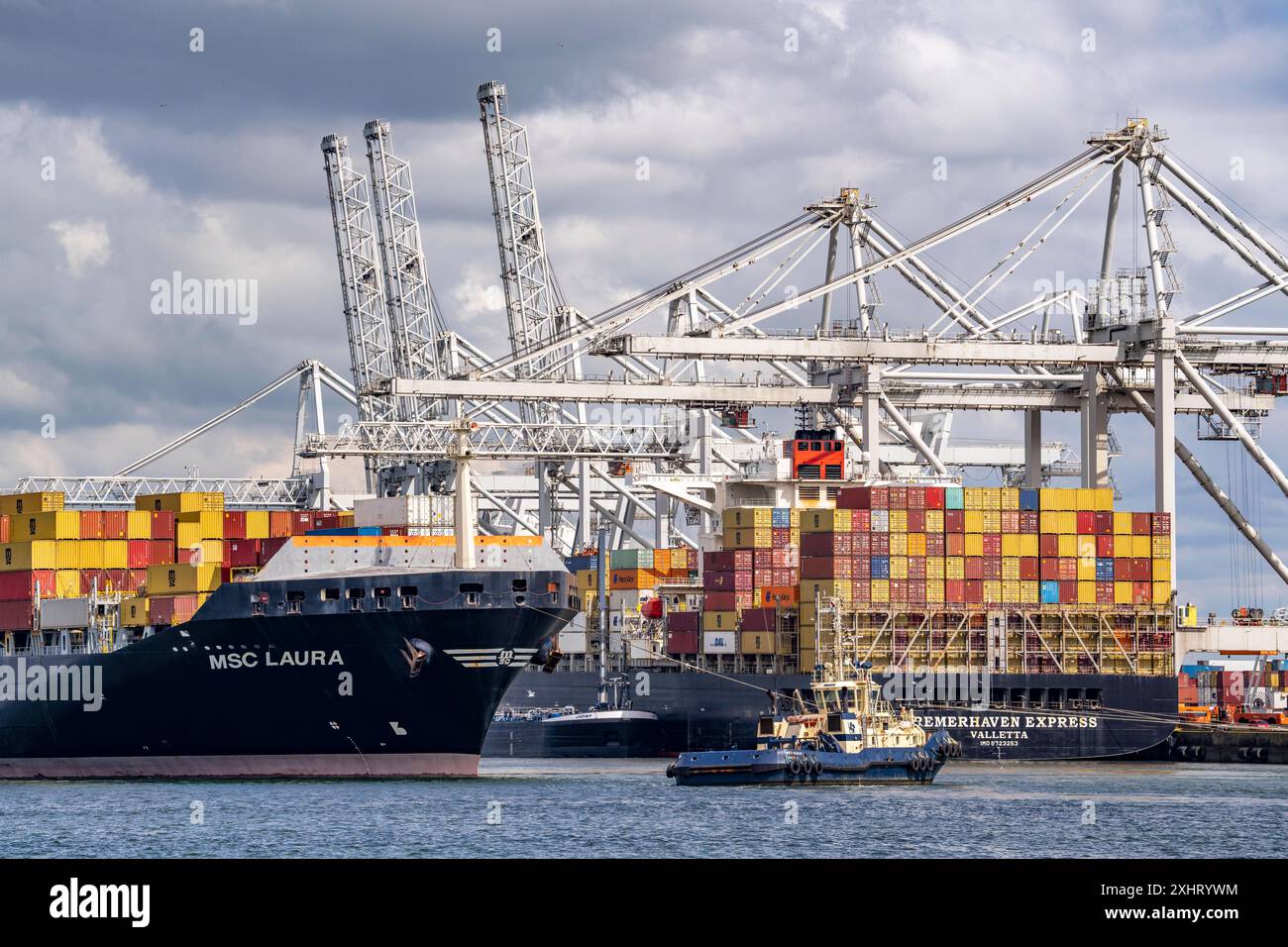 ECT Delta Container Terminal, im Europahaven, MSC Laura Container Frachter wird von Hafenschleppern bugsiert, Bremerhaven Express Containerschiff wird be- und entladen, Seehafen von Rotterdam, Tiefseehafen Maasvlakte 2, auf einer künstlich angelegten Landfläche, Niederlande, ECT Delta Container Terminal *** ECT Delta Container Terminal, in den Europahaven, Containerfrachter MSC Laura wird von Hafenschleppern gezogen, Containerschiff Bremerhaven Express wird be- und entladen, Seehafen Rotterdam, Tiefseehafen Maasvlakte 2, auf einem künstlichen Landgebiet, Niederlande, ECT Delta Container Terminal Stockfoto