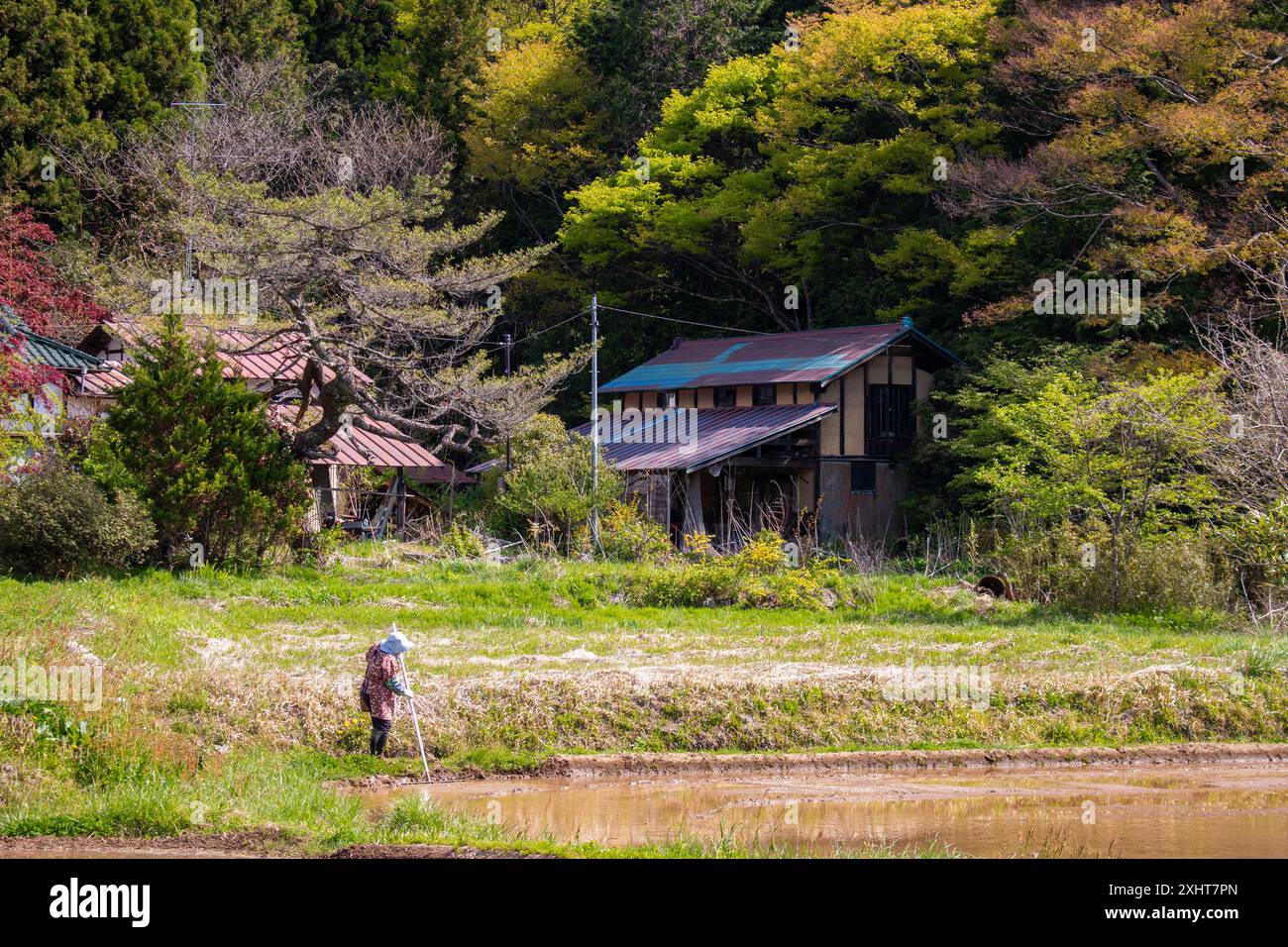 Sendai, Japan, 23. April 2023. Eine Dame, die auf einem Reisfeld in Miyagi arbeitet. Stockfoto