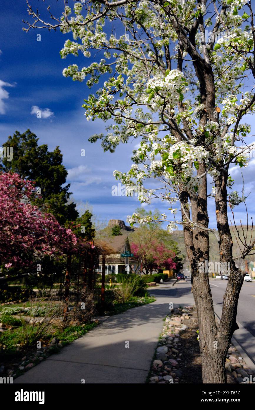 Blick auf den Frühling in Golden, Colorado Stockfoto