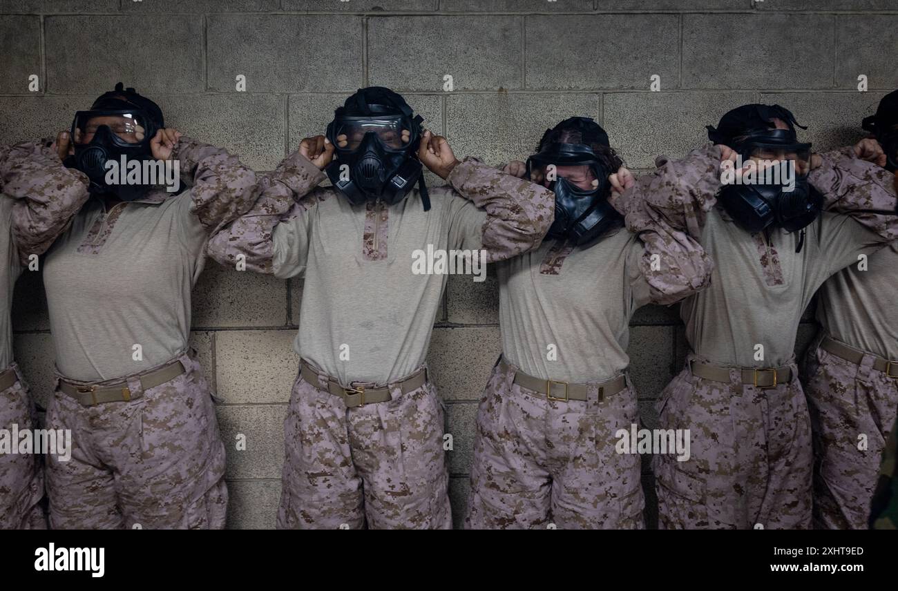 Rekruten der Bravo Company, 1. Rekruten-Ausbildungsbataillon, absolvieren die Gaskammer während der Ausbildung zur chemischen, biologischen, radiologischen und nuklearen Verteidigung im Marine Corps Recruit Depot Parris Island, S.C., 15. Juli 2024. Rekruten werden CS-Gas ausgesetzt, um sich mit der Verwendung ihrer Gasmasken vertraut zu machen. (Foto des U.S. Marine Corps von Lance CPL. Ayden Cassano) Stockfoto