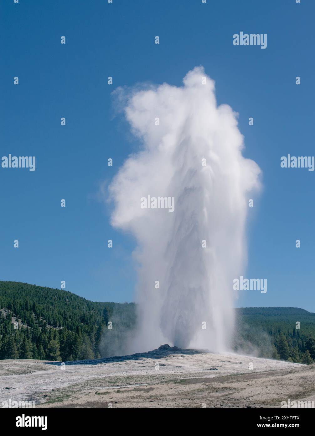 Ein alter, treuer Geysir-Ausbruch im Yellowstone-Nationalpark mit klarem Himmel. Stockfoto