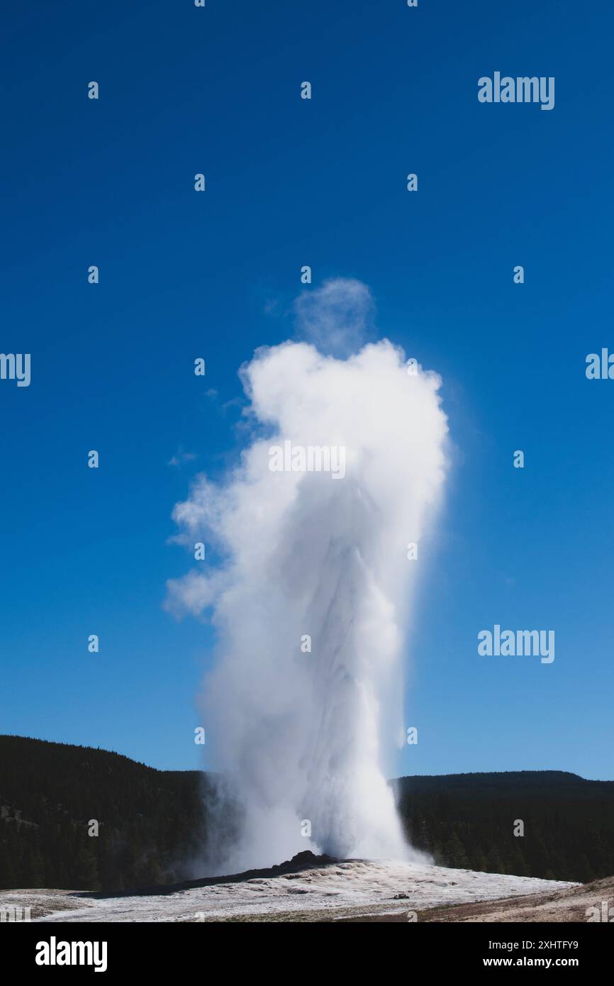 Ein alter, treuer Geysir-Ausbruch im Yellowstone-Nationalpark mit klarem Himmel. Stockfoto