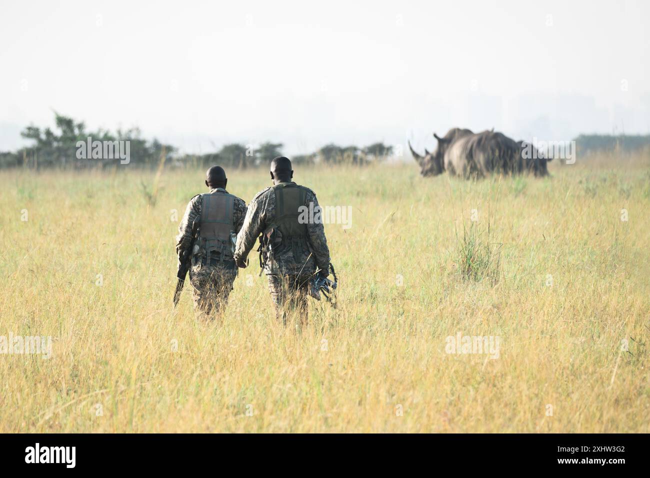 Personen in geschlossener, grüner, khakifarbener Kleidung, die mitten auf dem Feld stehen. Nashörner, die auf dem Hintergrund grasen. Wunderschöne Natur. Nashorn-Jäger sind es Stockfoto