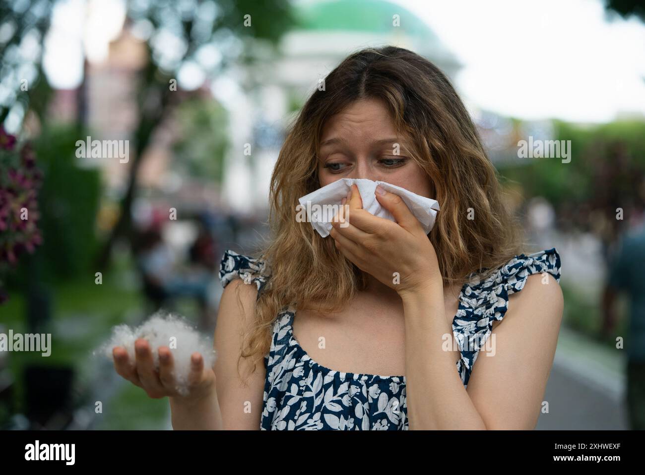 Frau niest und hält Cottonwood Seeds draußen wegen Allergien. Frau mit langen Haaren verwendet Gewebe, um ihre Nase und Mund zu bedecken, während sie flauschige Baumsamen hält, was auf eine allergische Reaktion hinweist. Stockfoto