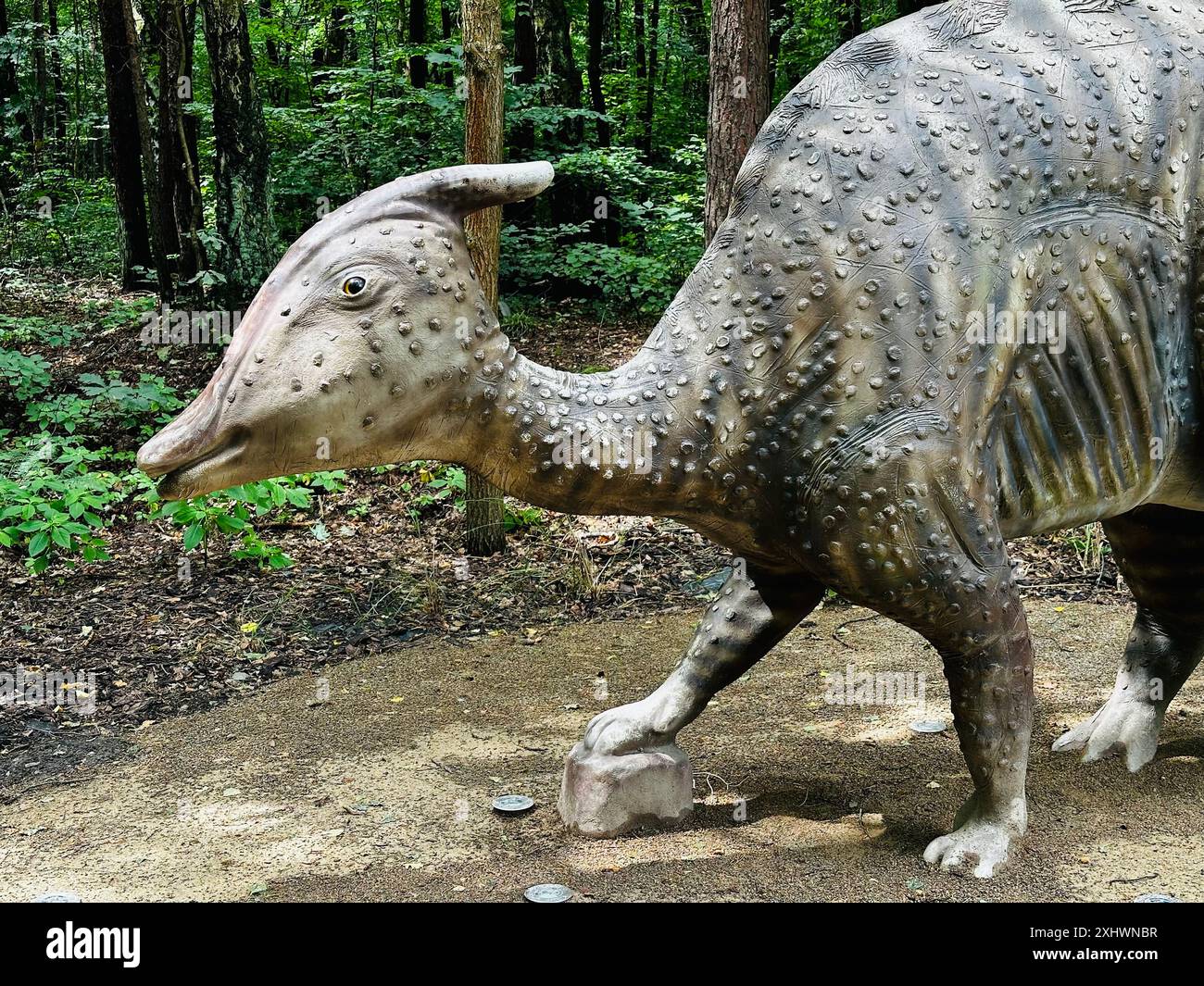 Realistische Figur eines Zaurolof-Dinosaurier-Waldparks in Kazimierz Sosnowiec. Prähistorische Raubtiere schaffen ein faszinierendes Element der Landschaft Stockfoto