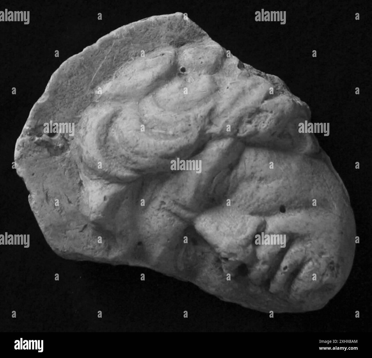 Männlicher Kopf mit linksem Profil von der Trajan-Säule mit römischem Portraitstil, in Marmor geschnitzt, mit detaillierten Gesichtszügen und Frisur. Stockfoto