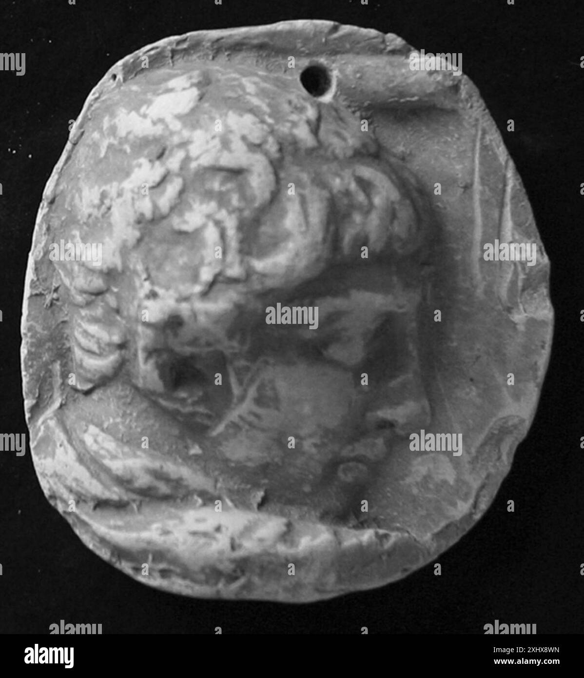 Geformter männlicher Kopf im rechten Profil der Trajan-Säule mit römischen Porträtdetails und geschnitzten Marmordetails. Stockfoto