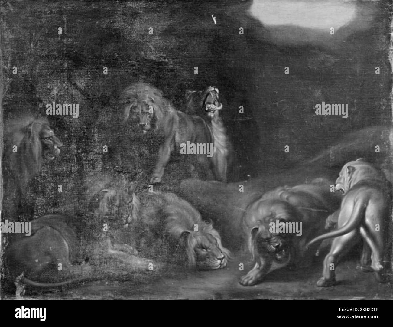 Ein Gemälde von Peter Paul Rubens (1577–1640), das eine Löwengrube darstellt und die Formen, Ausdrücke und Interaktion der Tiere im Raum betont. Stockfoto