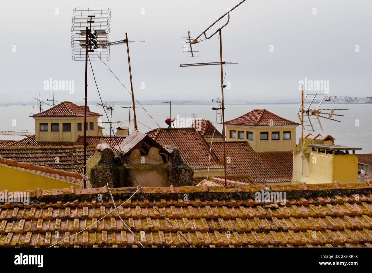 Ein Mann steht auf den rot gekachelten Dächern in Alfama mit Blick auf den Tejo Stockfoto