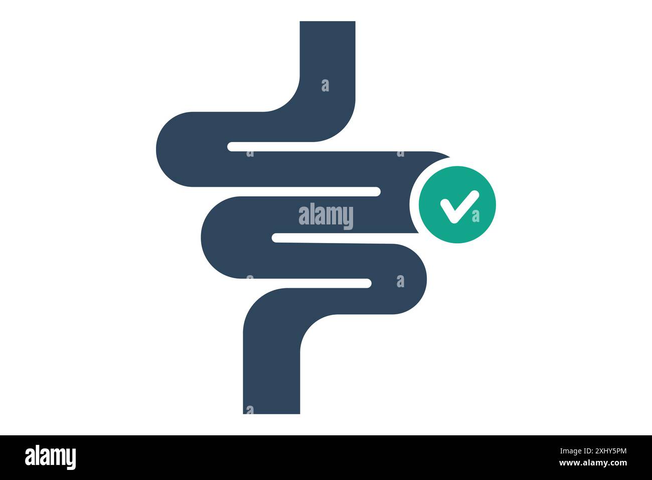 Darmsymbol. Symbol zum Verdauungssystem. Symbolstil durchgehend. Vektorillustration der Darmgesundheit Stock Vektor