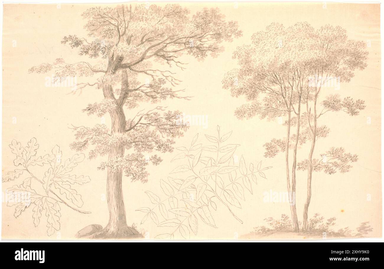 Bäume und Blätter Studien Pauelsen, Erik 1749 - 1790 Zeichnung Caspar David Friedrich: Gemälde, Druckgraphik und bildmässige Zeichnungen, Helmut Börsch-Supan, S. 491, Nr. 2, 43714, 1973. Caspar David Friedrich og Danmark: Statens Museum for Art, 12. oktober bis 8. dezember 1991, Kasper Monrad, Kat. Nr. 68, afb. S. 16, 54552, 1991 Træer og bladstudier Stockfoto