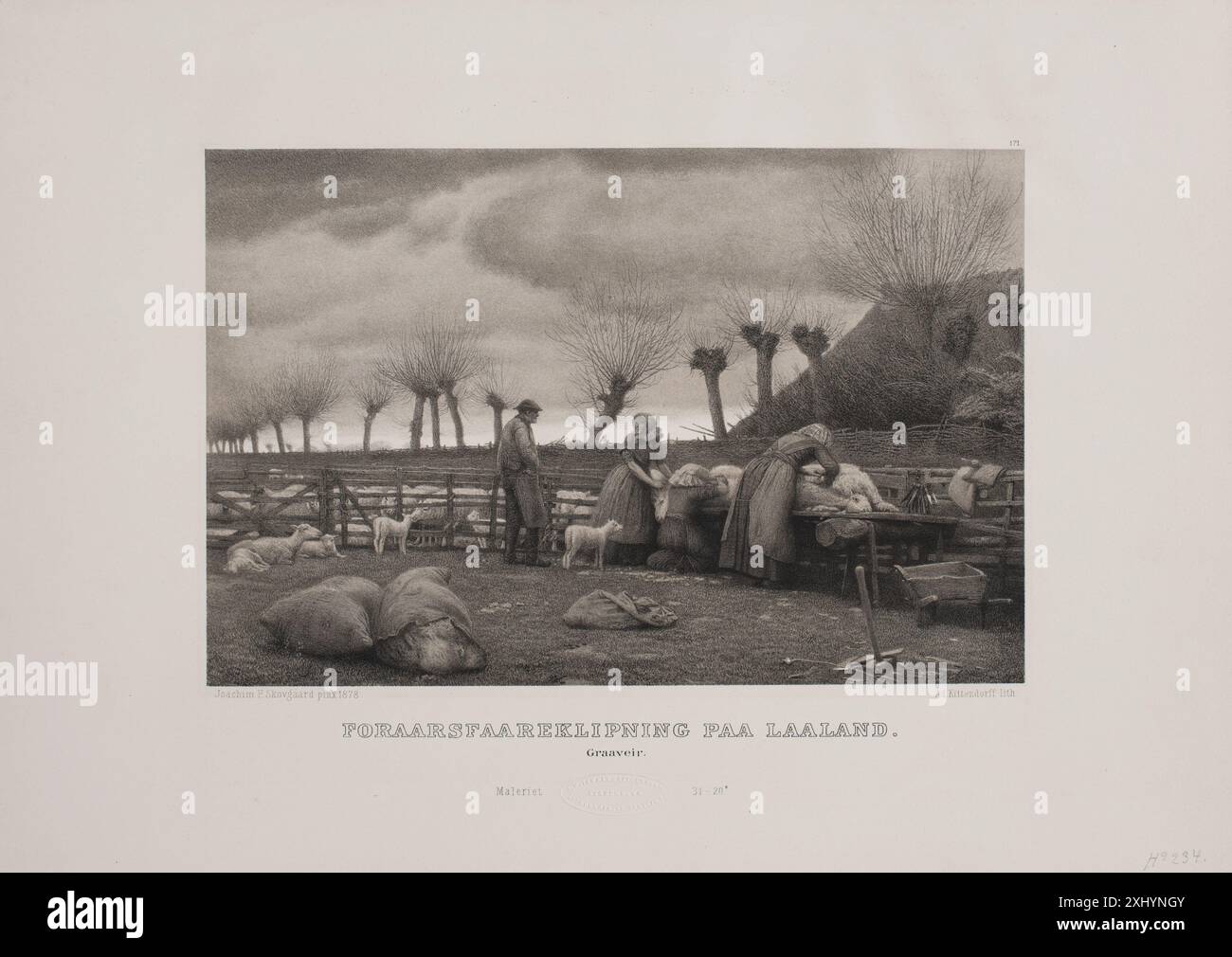 Lithografie mit der Darstellung der Schafschere auf Låland, erstellt von Adolph Kittendorff und Joakim Skovgaard, veröffentlicht in Tidsskrift für Kunstindustri zwischen 1885 und 1899 im Dänischen Museum für Kunstindustrie. Stockfoto