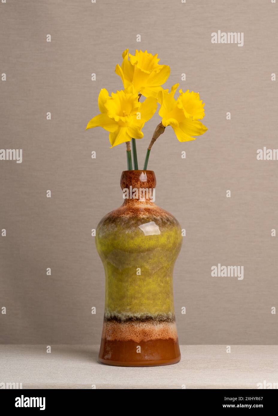 Drei gelbe Narzissen in einer Vase auf hellgrauem Hintergrund. Viel Platz für Beschriftungen. Postkarte, Glückwunsch, Wünsche. Stillleben im Frühling Stockfoto