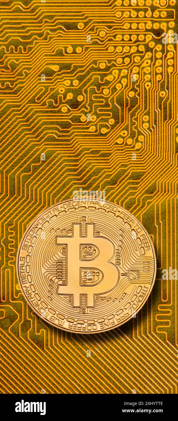 Kryptowährung Bitcoin eine Bitcoin Münze der virtuellen Kryptowährung liegt auf dem digitalen Netzwerk einer Computerplatine *** Bitcoin Kryptowährung Stockfoto