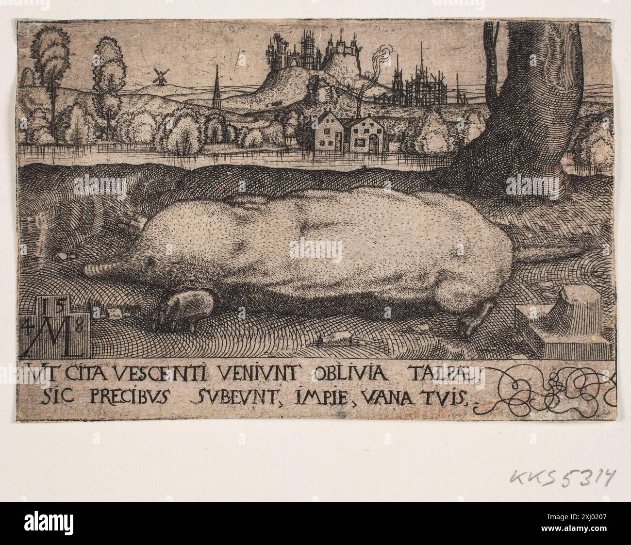 Kupferstich von Melchior Lorck (1526–1583), der einen Maulwurf zeigt, der detaillierte Textur und naturalistische Darstellung des Tieres zeigt. Stockfoto