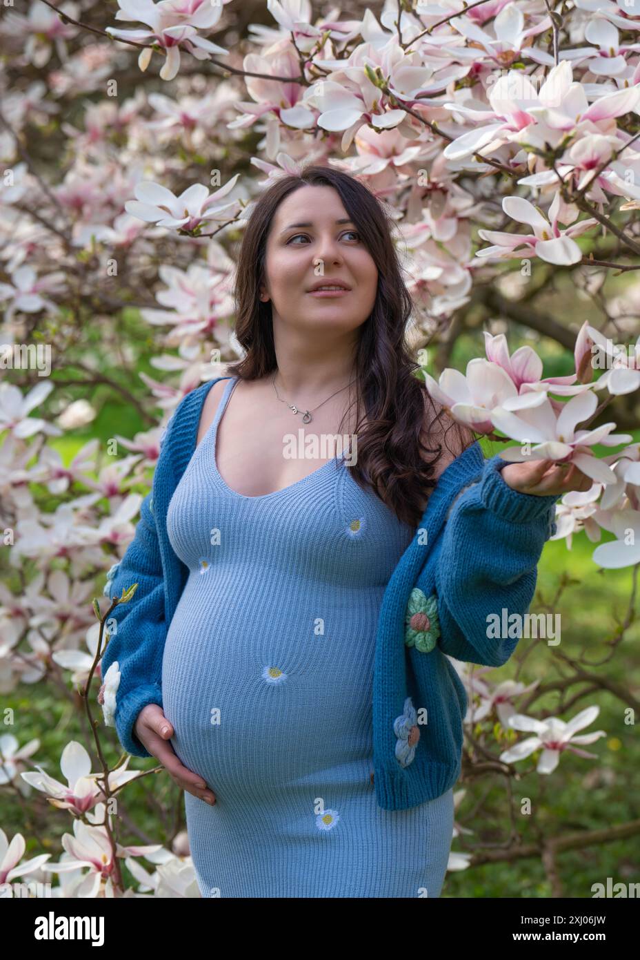 Porträt einer niedlichen schwangeren Frau im Park, gekleidet in einem blauen Kleid zwischen Magnoli-Blumen. Die werdende Mutter schaut zärtlich auf einen blühenden Baum. Stockfoto