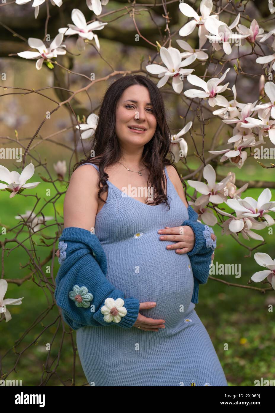 Porträt einer niedlichen schwangeren Frau im Park, gekleidet in einem blauen Kleid zwischen Magnoli-Blumen. Eine Frau hält sanft ihren schwangeren Bauch. Schwangerschaft. Warten Sie Stockfoto