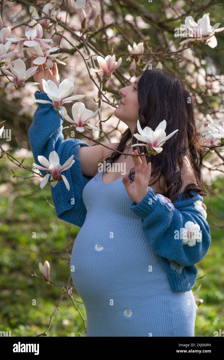 Porträt einer niedlichen schwangeren Frau im Park, gekleidet in einem blauen Kleid zwischen Magnoli-Blumen. Die werdende Mutter schaut zärtlich auf einen blühenden Baum. Stockfoto