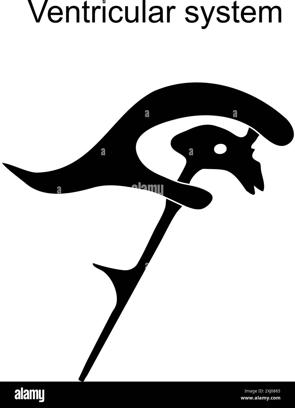 Ventrikelsystem. Liquor cerebrospinalis. Schwarzes Symbol. Einfacher Umrissstil. Stilisiertes Piktogramm für Webdesign oder mobile App. Vektorabbildung. Flach Stock Vektor