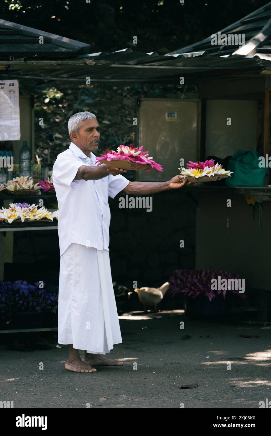 Ein älterer srilankischer Mann in weißer traditioneller Kleidung hält farbenfrohe Blumentafeln an einem Marktstand im Freien. Kandy, Sri Lanka. Stockfoto