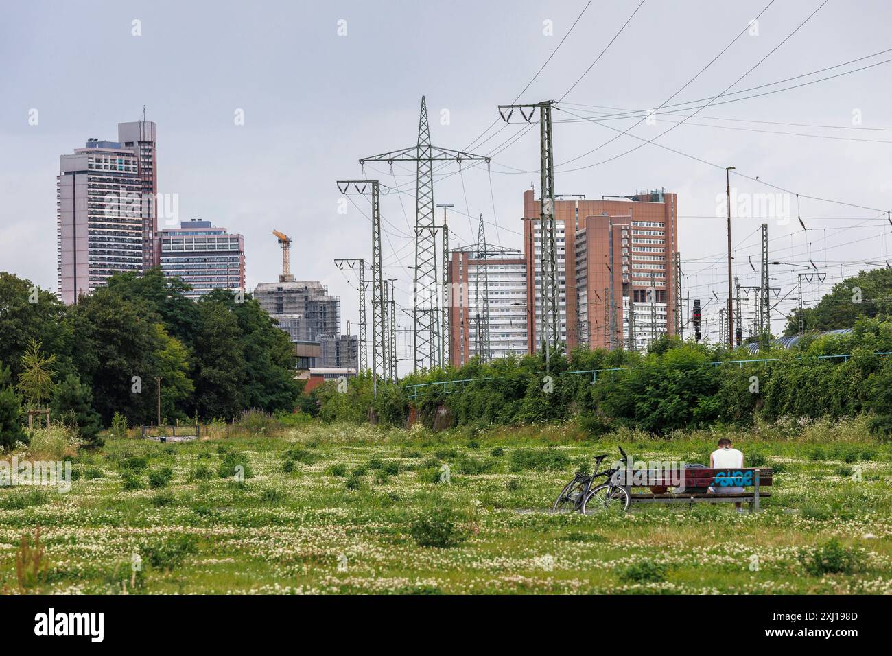 Blick vom Pionierpark im Raderberg-Bezirk auf das Universitätszentrum und das Justizzentrum in der Luxemburger Straße, Köln, Deutschland. Der Park ist ein Stockfoto