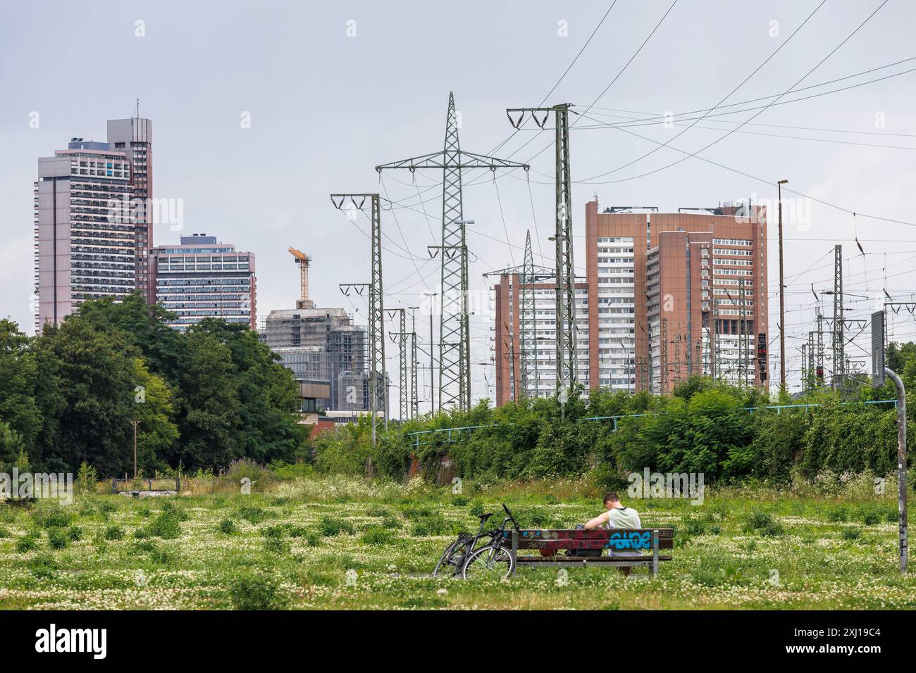 Blick vom Pionierpark im Raderberg-Bezirk auf das Universitätszentrum und das Justizzentrum in der Luxemburger Straße, Köln, Deutschland. Der Park ist ein Stockfoto