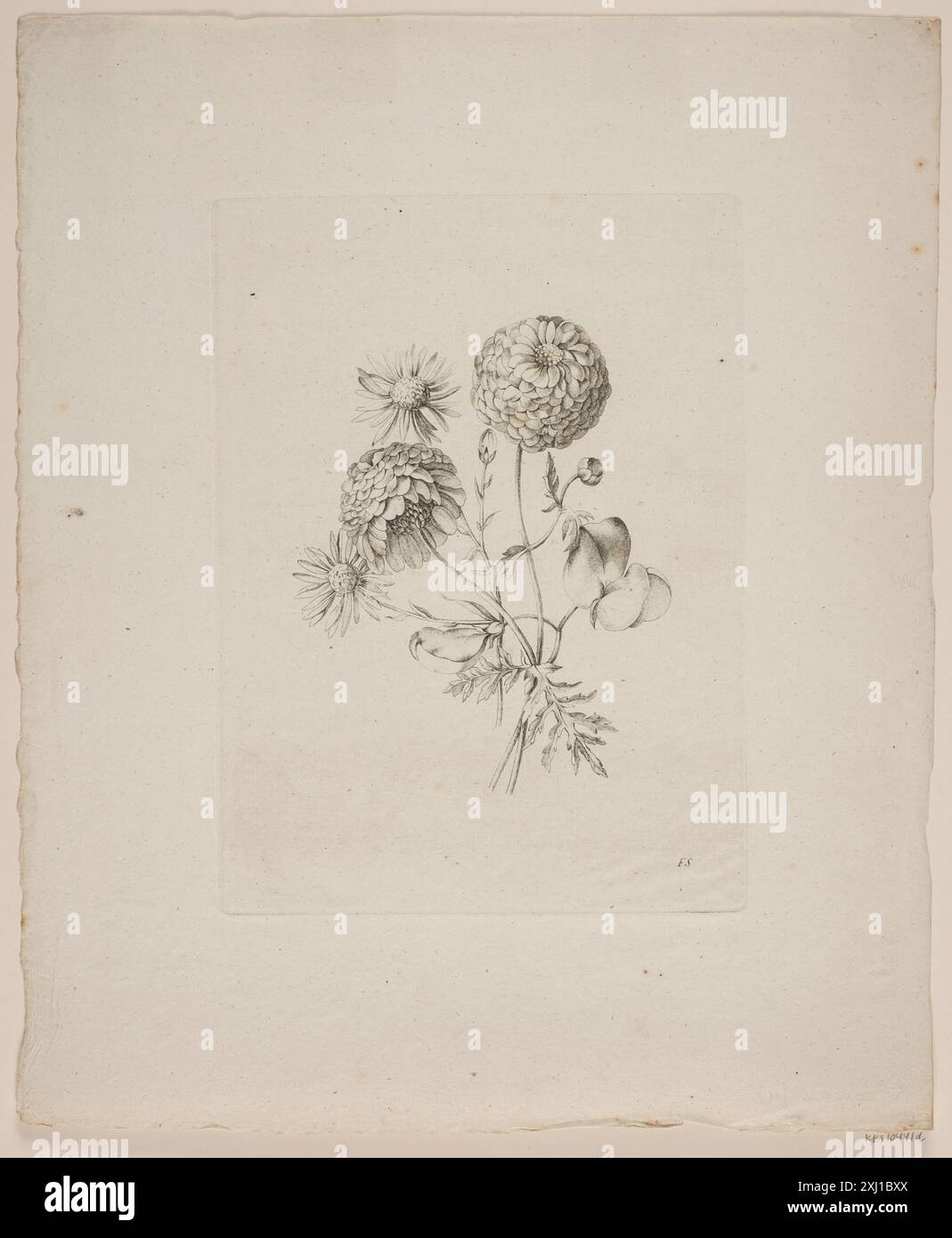 Radierung von Frederik Schepelern mit einem floralen Motiv mit detaillierten Pflanzenformen und Mustern. Stockfoto