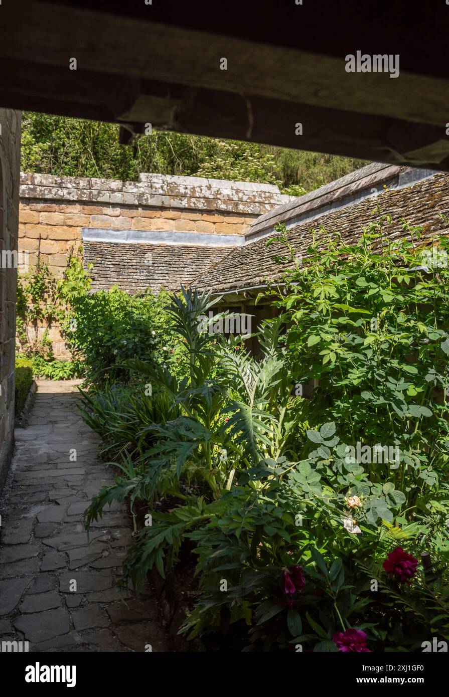 Monk's Gemüsegarten in Grace Mount Priory, North Yorkshire, Großbritannien Stockfoto