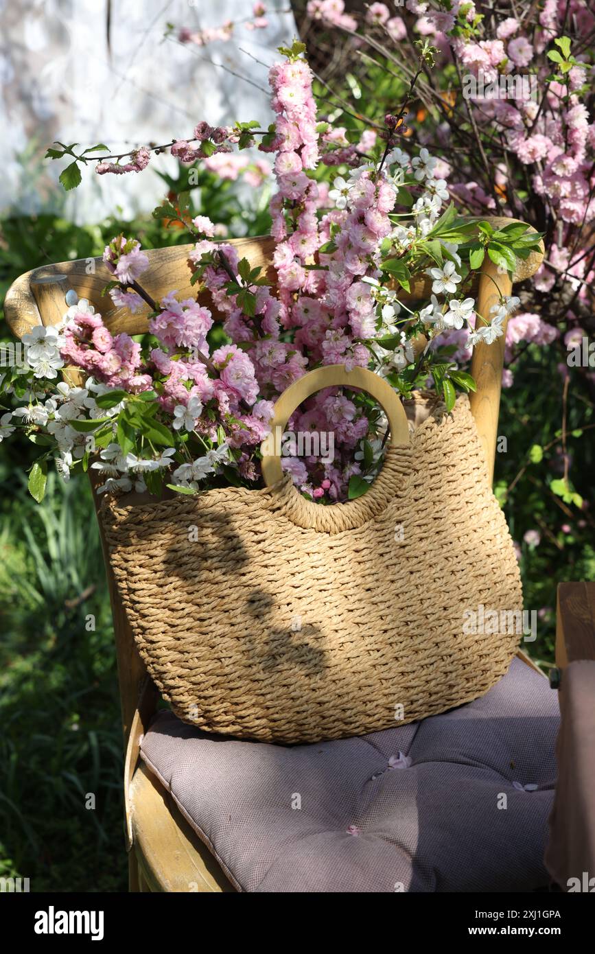 Korb mit schönen Frühlingsblumen auf Stuhl im Garten Stockfoto