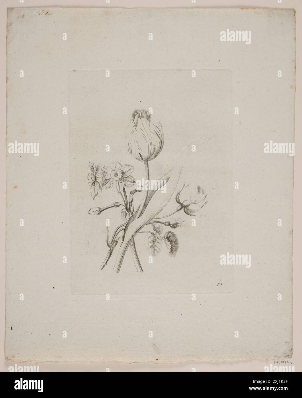 Stich von Frederik Schepelern mit einem Blumenmotiv mit Blumen, Stielen und detaillierten botanischen Elementen. Stockfoto