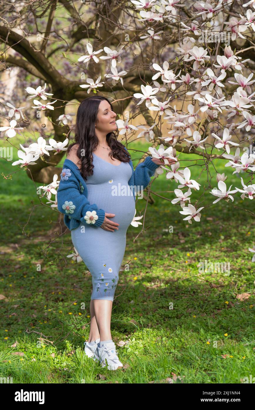 Porträt einer niedlichen schwangeren Frau im Park, gekleidet in einem blauen Kleid zwischen Magnoli-Blumen. Die werdende Mutter schaut zärtlich auf einen blühenden Baum. Stockfoto